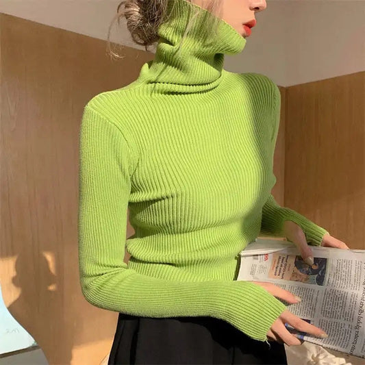 Stef turtleneck sweater